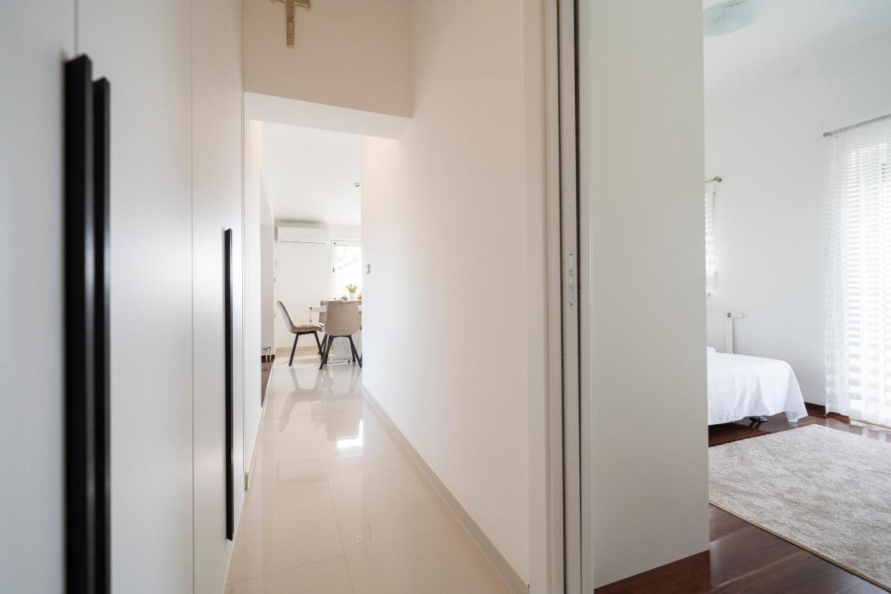 Apartment Absolute Gray Zadar Exteriér fotografie